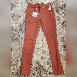 Indigo Rein Skinny Jeans